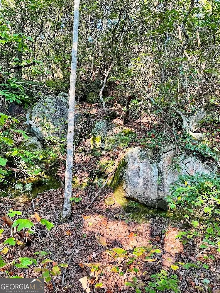 0 Blue Ridge Gap RD Rabun Gap, GA 30568