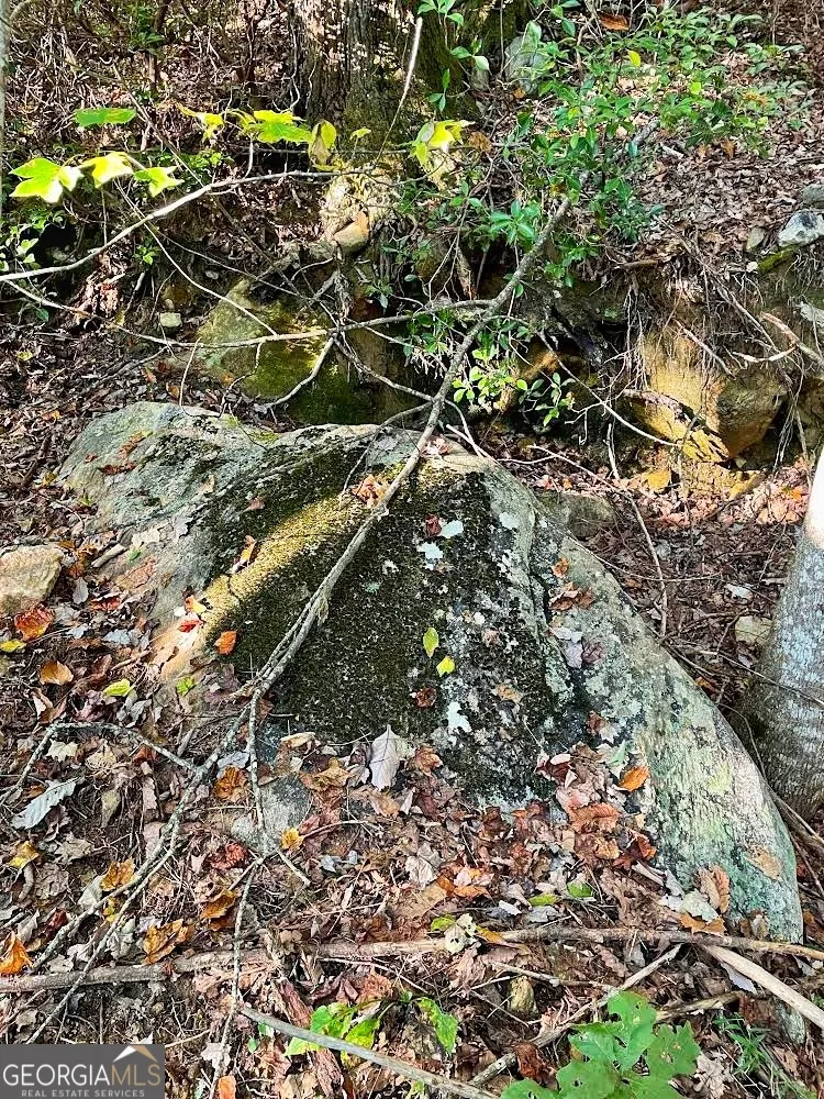0 Blue Ridge Gap RD Rabun Gap, GA 30568