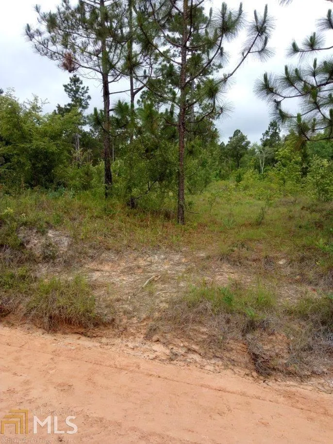0 Bill Glenn Rd Off Highway 56 Swainsboro, GA 30401