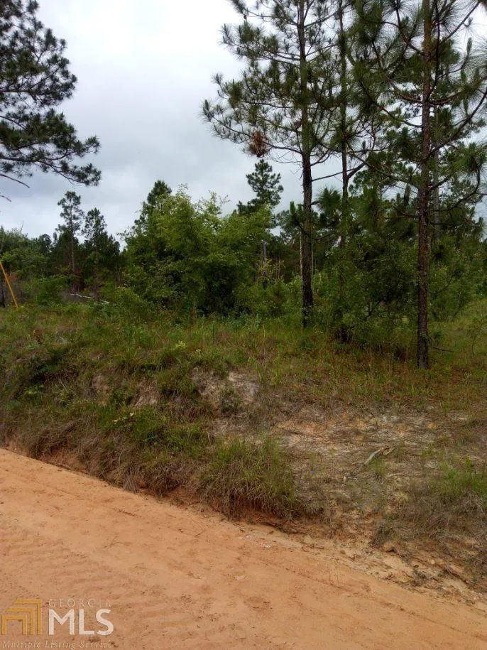 0 Bill Glenn Rd Off Highway 56 Swainsboro, GA 30401