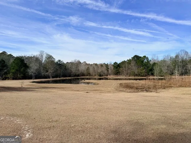 1431 Community RD Glennville, GA 30427