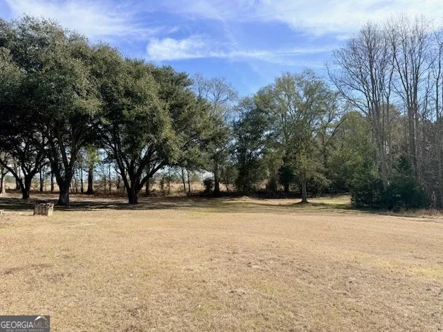 1431 Community RD Glennville, GA 30427