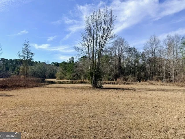 1431 Community RD Glennville, GA 30427