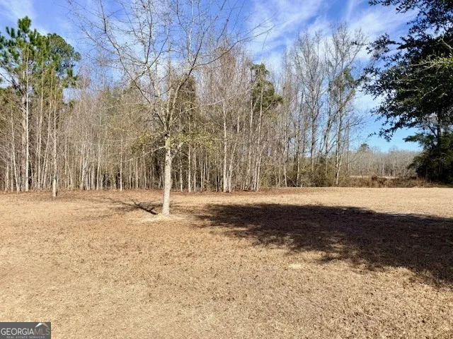 1431 Community RD Glennville, GA 30427