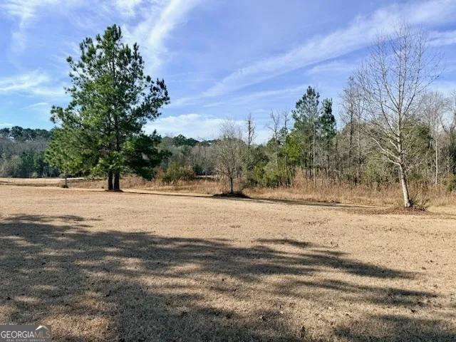 1431 Community RD Glennville, GA 30427