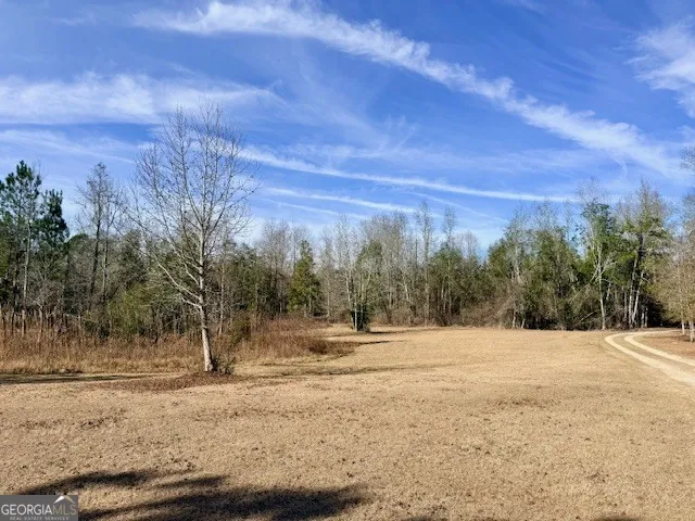 1431 Community RD Glennville, GA 30427