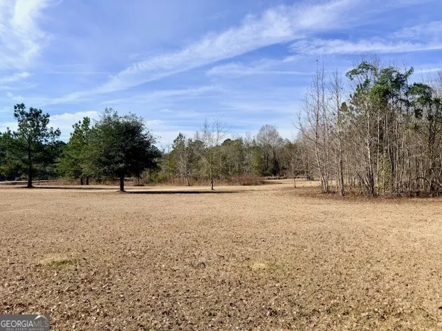 1431 Community RD Glennville, GA 30427