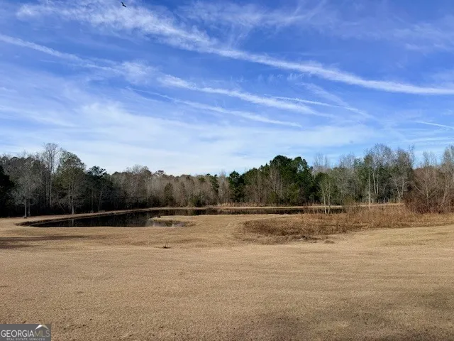 1431 Community RD Glennville, GA 30427
