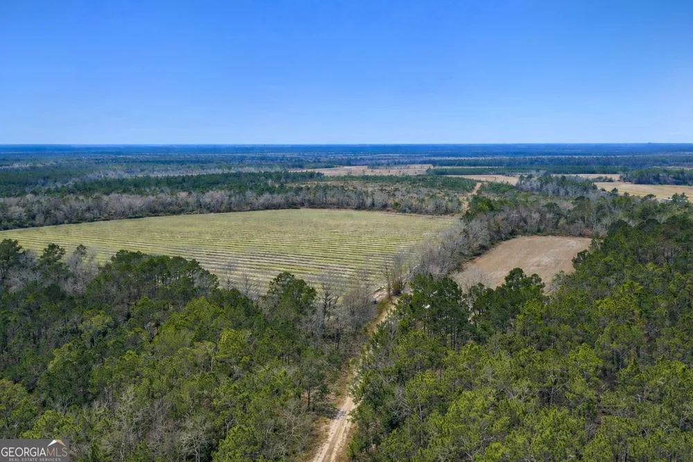 TRACT 3 Reddish RD Odum, GA 31555