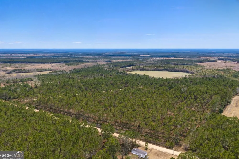 TRACT 3 Reddish RD Odum, GA 31555
