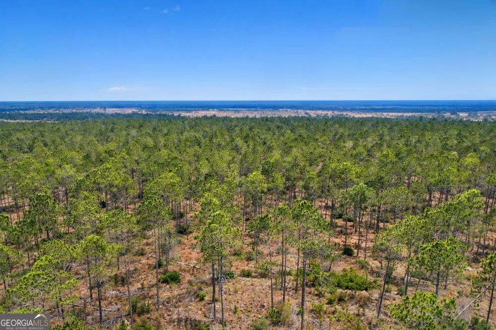 TRACT 3 Reddish RD Odum, GA 31555