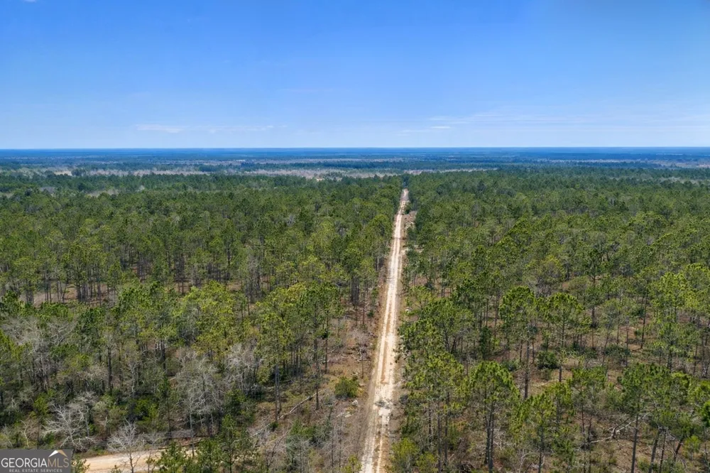 TRACT 3 Reddish RD Odum, GA 31555