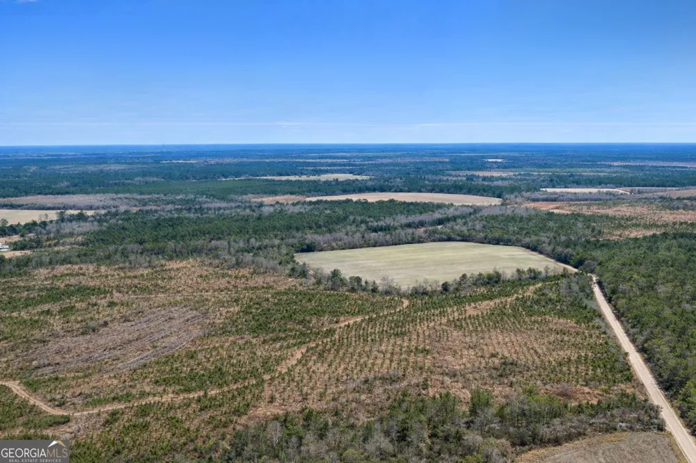 TRACT 3 Reddish RD Odum, GA 31555