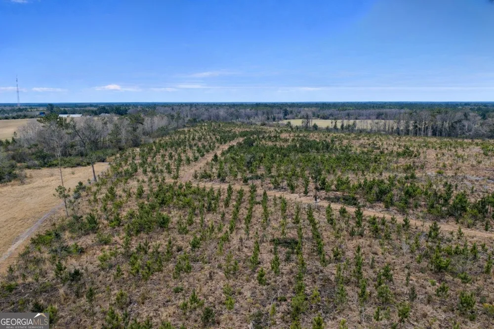 TRACT 3 Reddish RD Odum, GA 31555