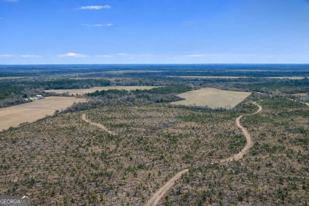 TRACT 3 Reddish RD Odum, GA 31555
