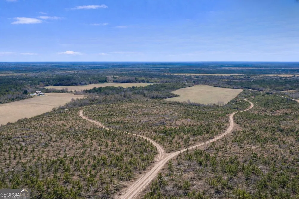 TRACT 3 Reddish RD Odum, GA 31555