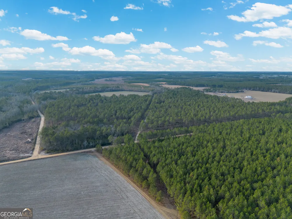 TRACT 3 Reddish RD Odum, GA 31555