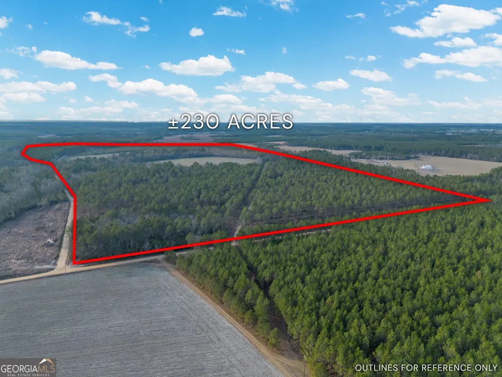 TRACT 3 Reddish RD Odum, GA 31555