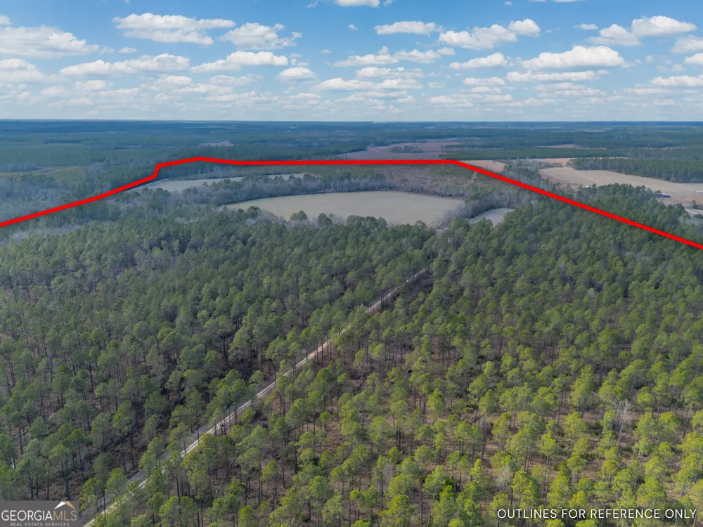 TRACT 3 Reddish RD Odum, GA 31555