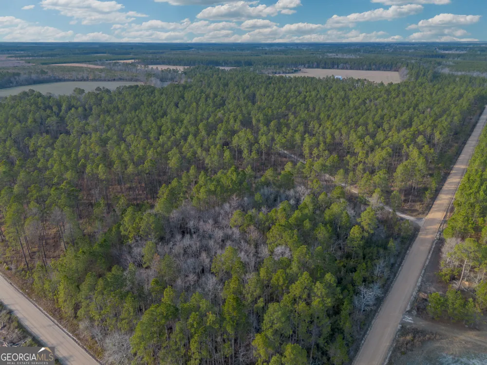 TRACT 3 Reddish RD Odum, GA 31555