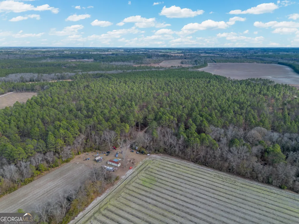 TRACT 3 Reddish RD Odum, GA 31555