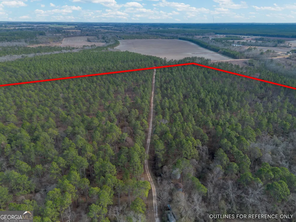 TRACT 3 Reddish RD Odum, GA 31555