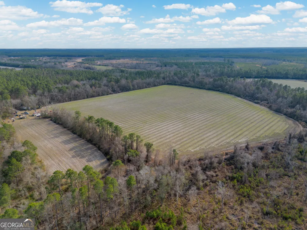 TRACT 3 Reddish RD Odum, GA 31555