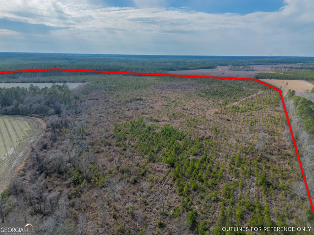TRACT 3 Reddish RD Odum, GA 31555