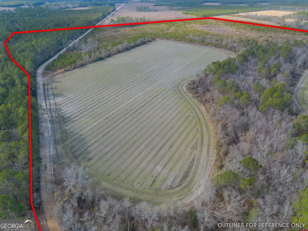 TRACT 3 Reddish RD Odum, GA 31555