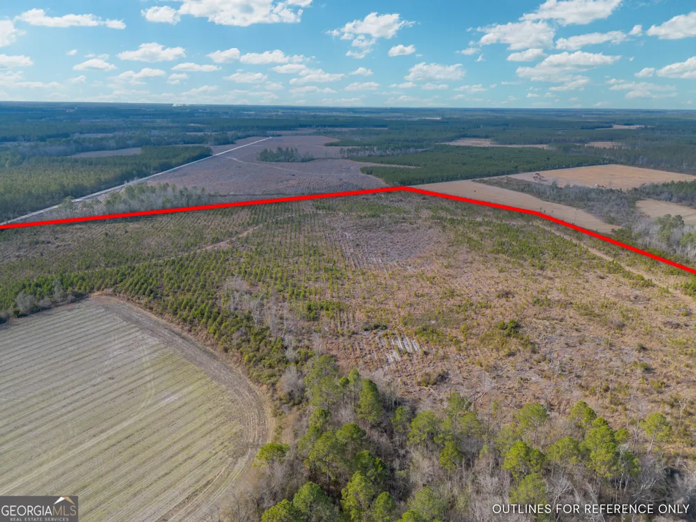 TRACT 3 Reddish RD Odum, GA 31555