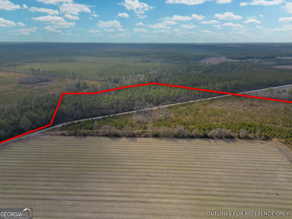 TRACT 3 Reddish RD Odum, GA 31555