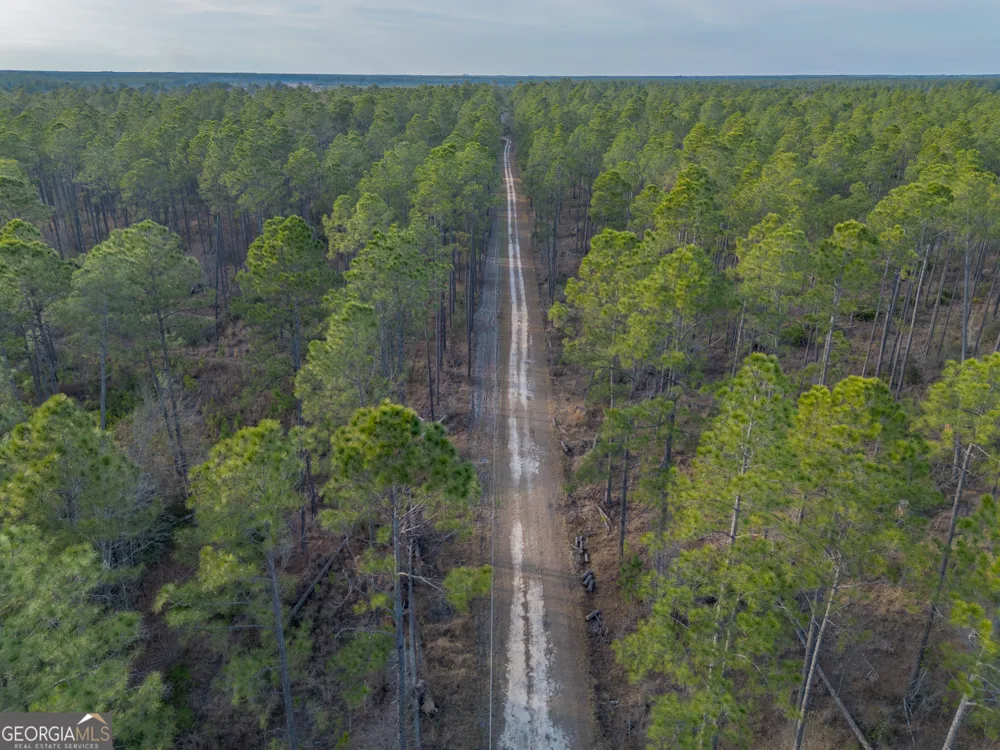 TRACT 3 Reddish RD Odum, GA 31555