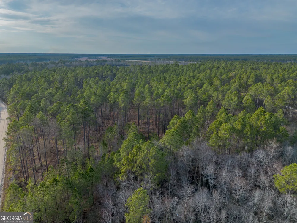 TRACT 3 Reddish RD Odum, GA 31555