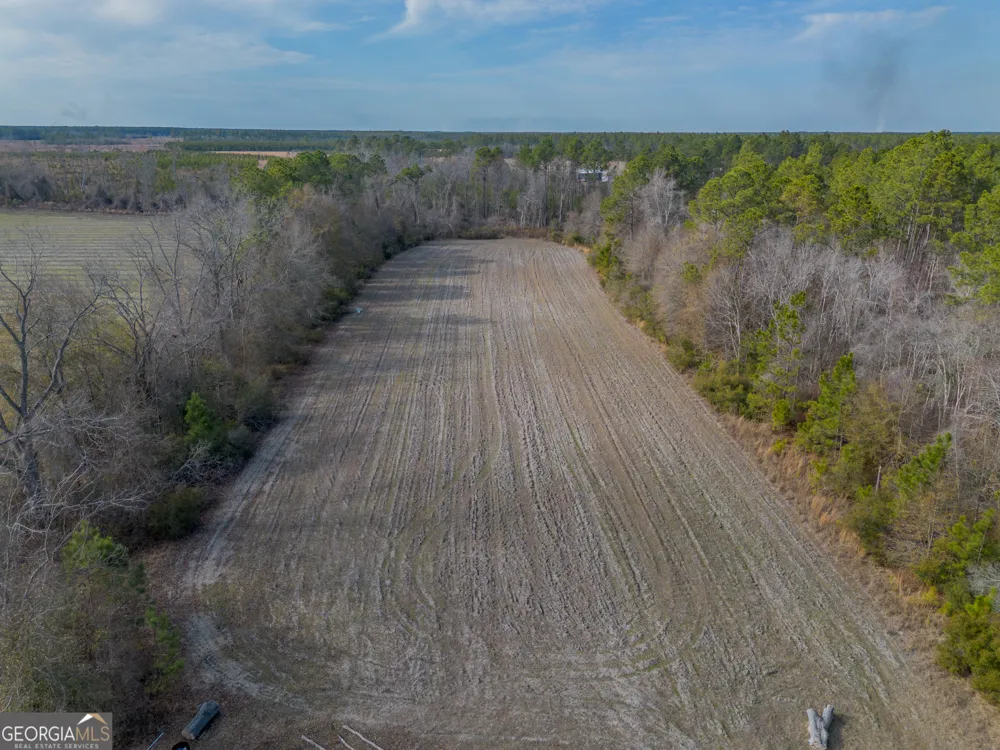 TRACT 3 Reddish RD Odum, GA 31555
