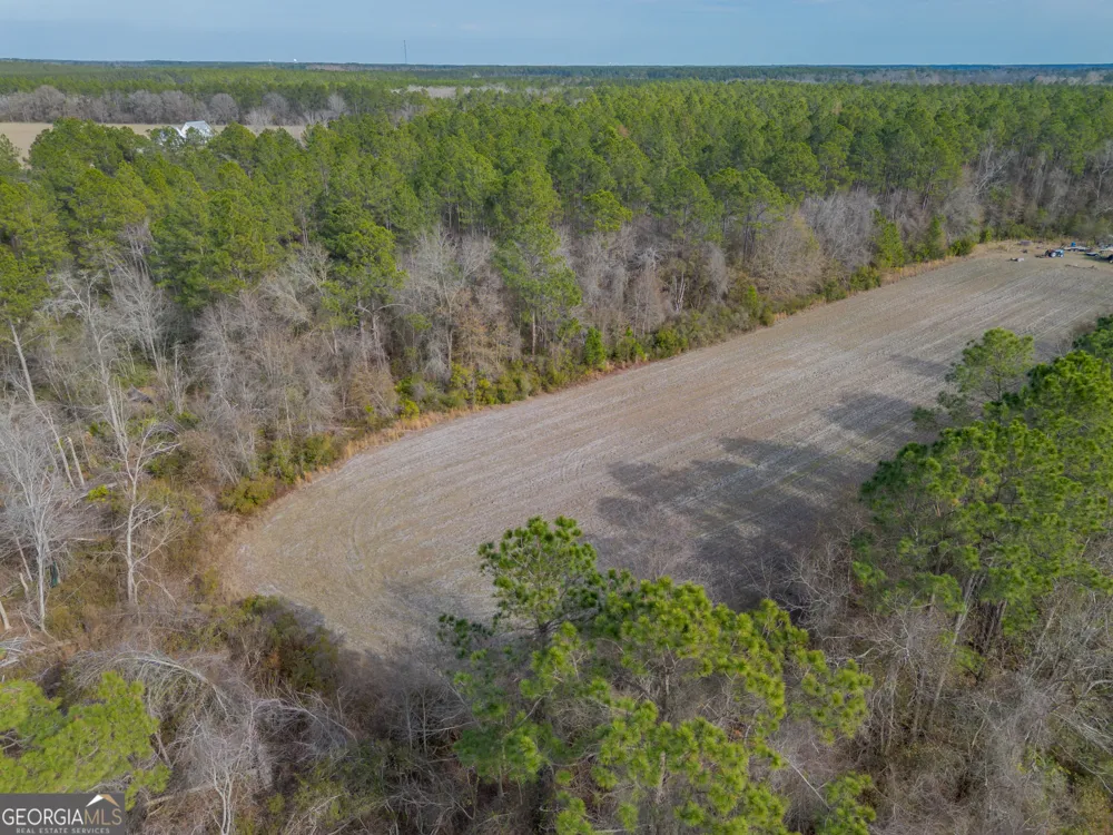 TRACT 3 Reddish RD Odum, GA 31555