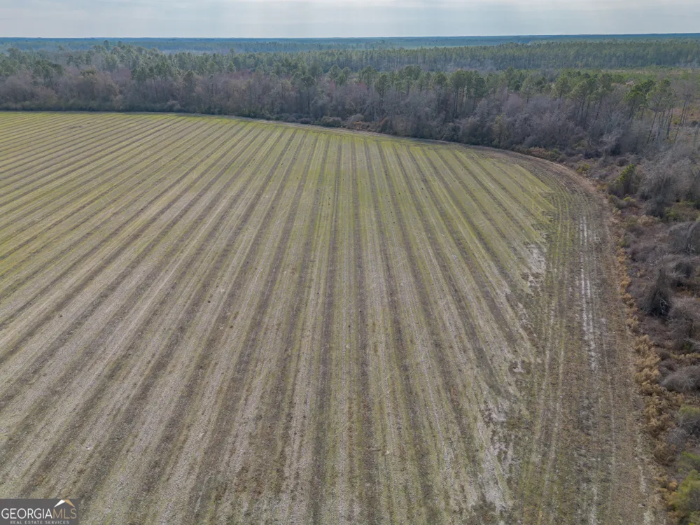 TRACT 3 Reddish RD Odum, GA 31555