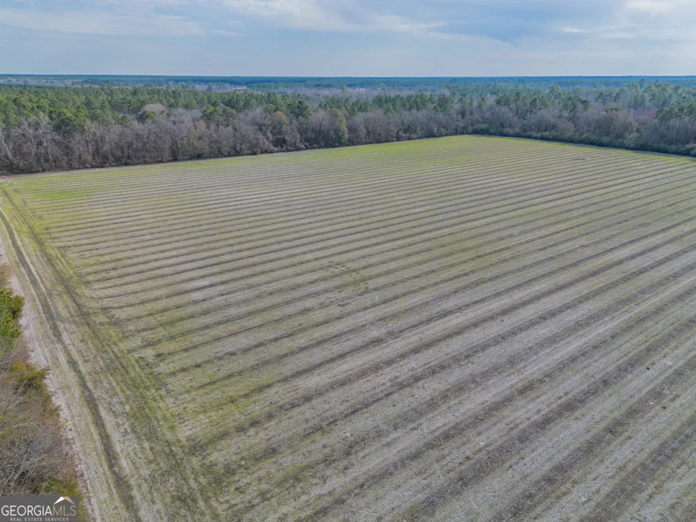 TRACT 3 Reddish RD Odum, GA 31555