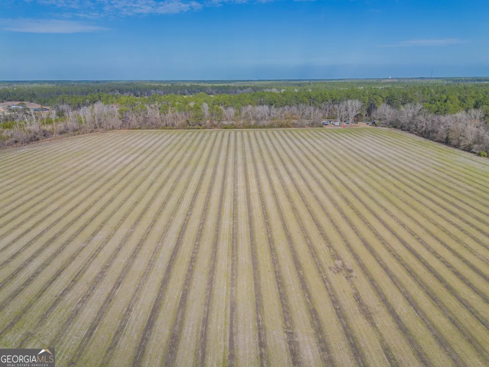 TRACT 3 Reddish RD Odum, GA 31555