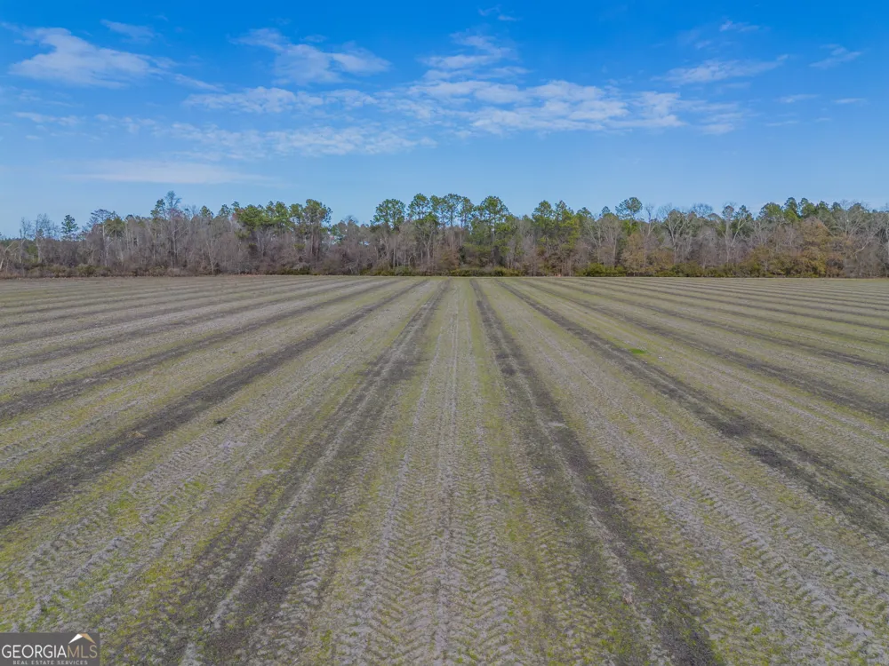 TRACT 3 Reddish RD Odum, GA 31555