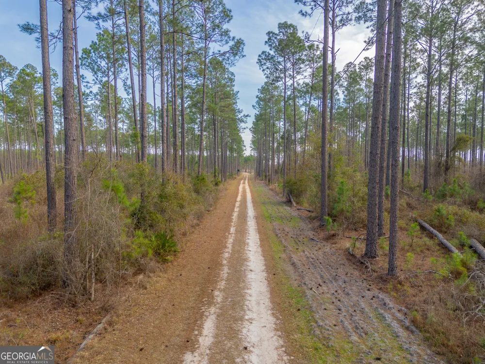 TRACT 3 Reddish RD Odum, GA 31555