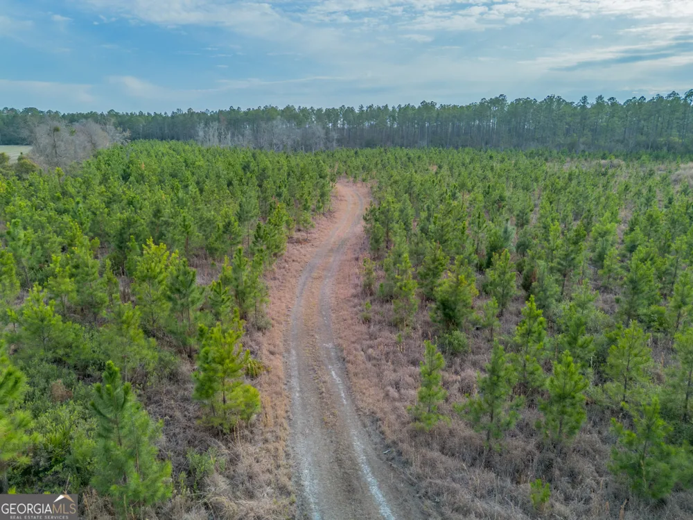 TRACT 3 Reddish RD Odum, GA 31555