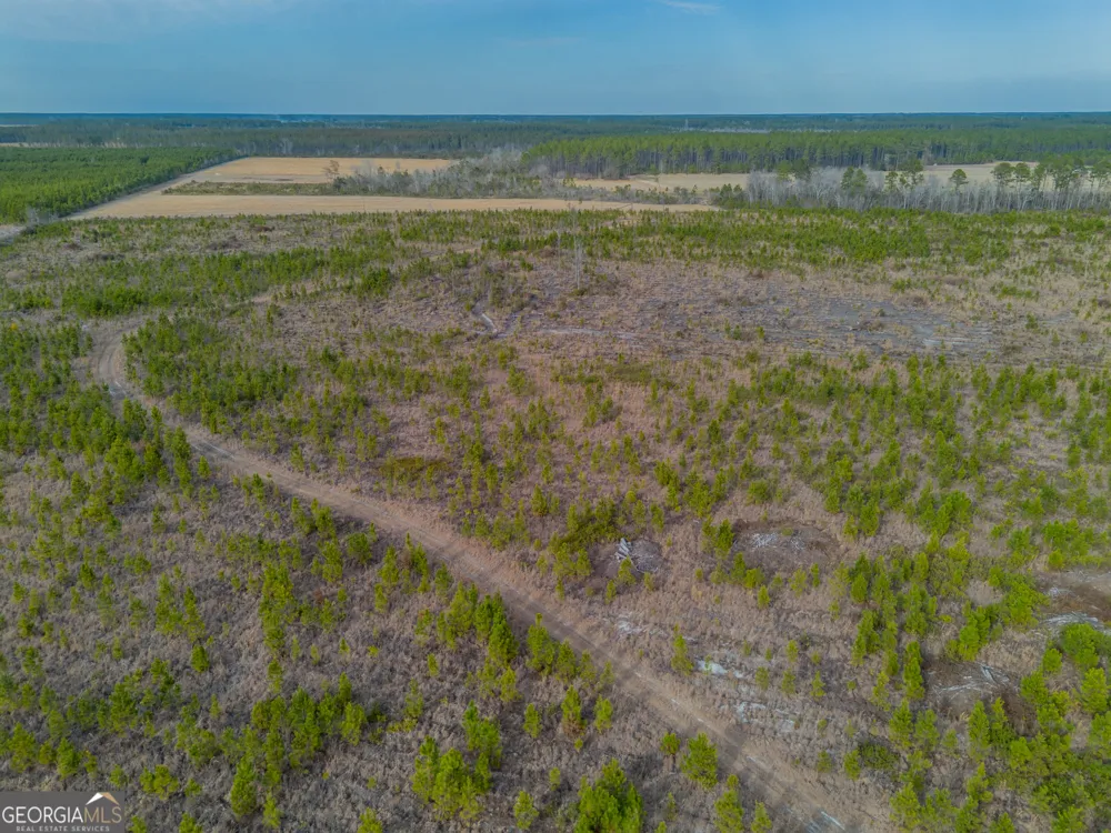 TRACT 3 Reddish RD Odum, GA 31555