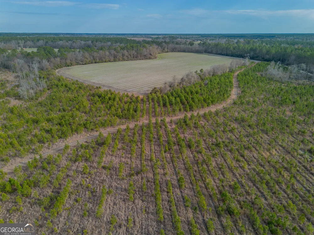 TRACT 3 Reddish RD Odum, GA 31555