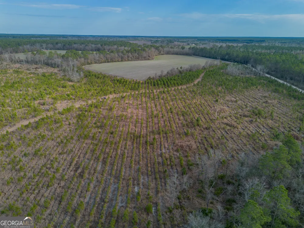 TRACT 3 Reddish RD Odum, GA 31555