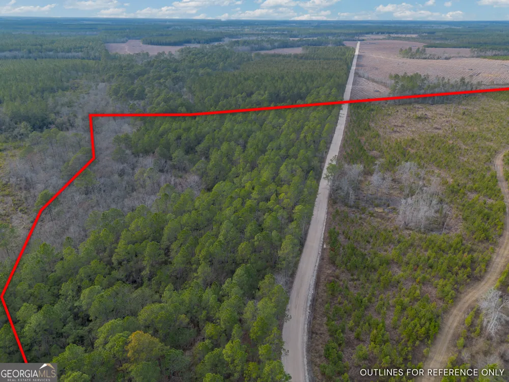 TRACT 3 Reddish RD Odum, GA 31555