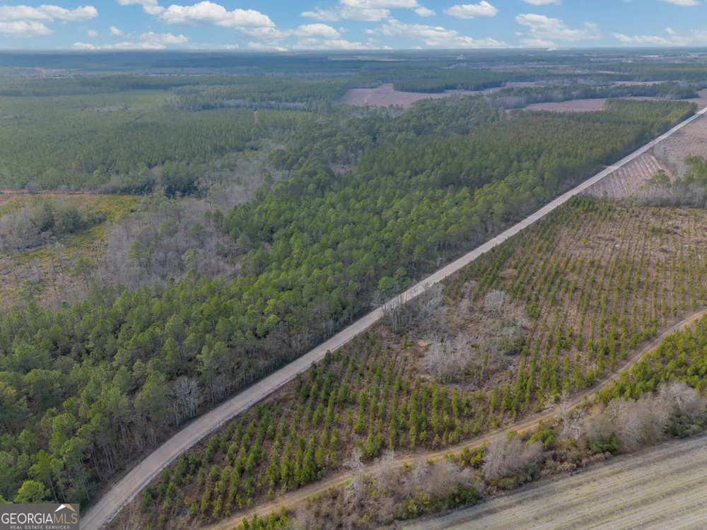 TRACT 3 Reddish RD Odum, GA 31555