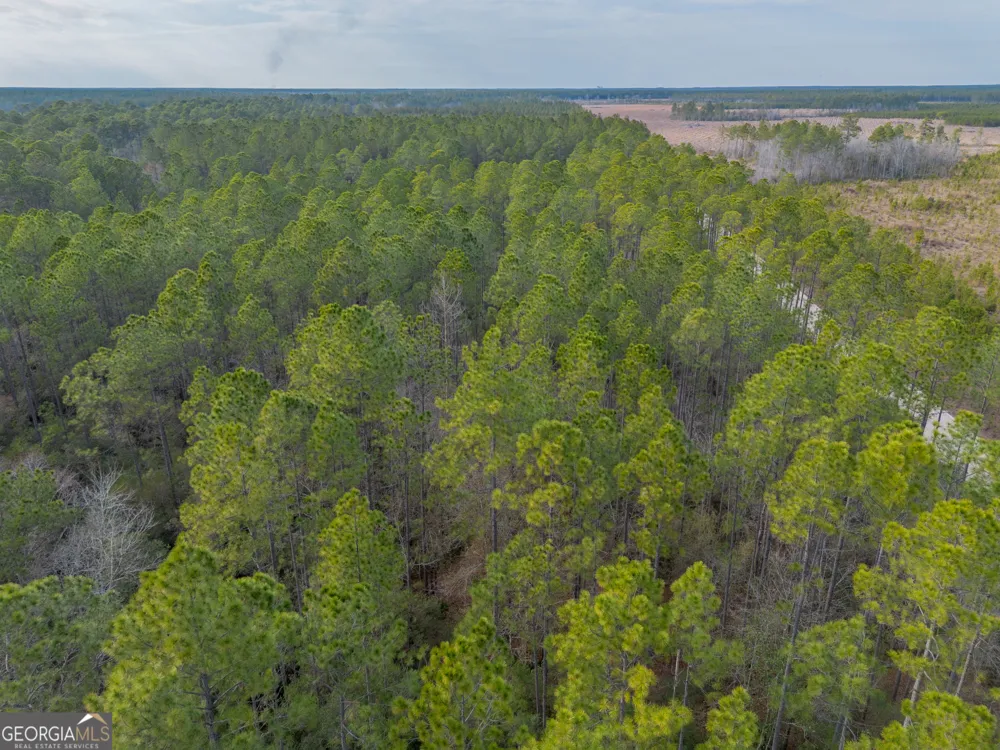 TRACT 3 Reddish RD Odum, GA 31555