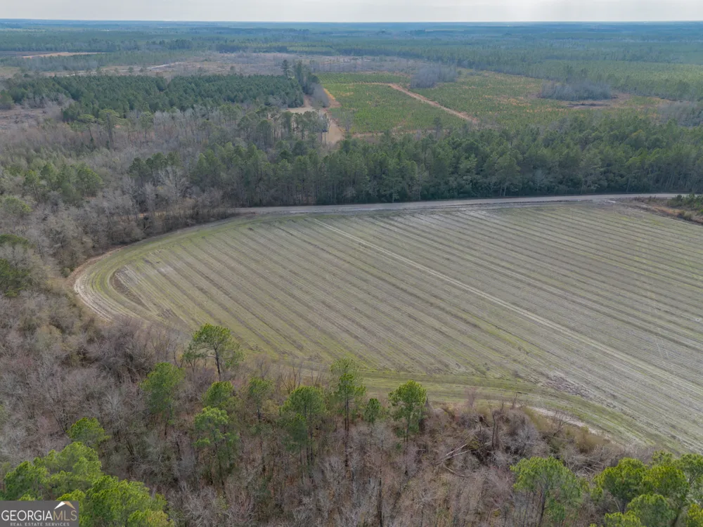 TRACT 3 Reddish RD Odum, GA 31555