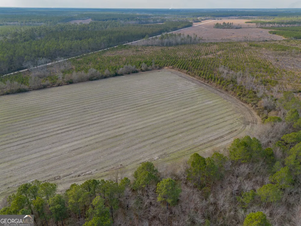 TRACT 3 Reddish RD Odum, GA 31555