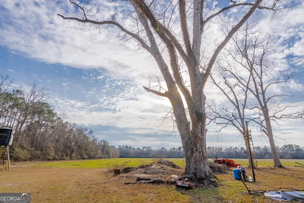TRACT 3 Reddish RD Odum, GA 31555